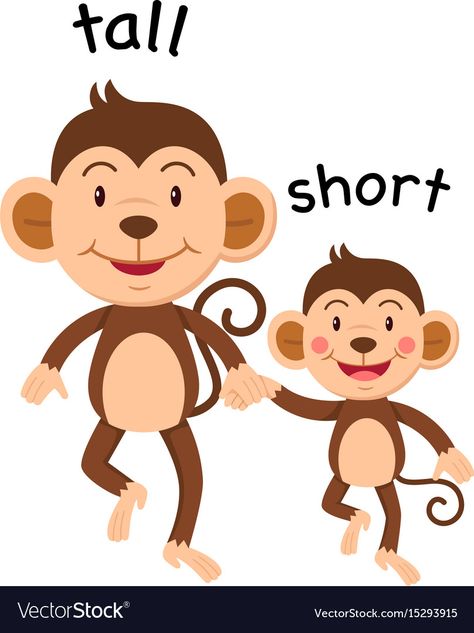 Comparing tall vs. short activities for young students to begin learning math skills! Cartoon Duos, Opposites For Kids, Opposites Preschool, Kids Dental Health, Zoo Preschool, English Opposite Words, Tall And Short, Opposite Words, Flashcards For Kids