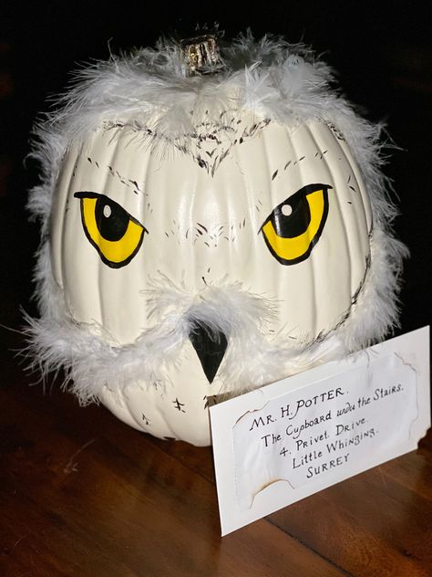 Book Character Pumpkins Harry Potter, Harry Potter Painted Pumpkins Ideas, Harry Potter No Carve Pumpkin, Harry Potter Owl Pumpkin, Harry Potter Theme Pumpkin, Pumpkin Decorating Ideas Harry Potter, Harry Potter Decorated Pumpkin, Pumpkin Decorating Harry Potter, Pumpkin Ideas Harry Potter