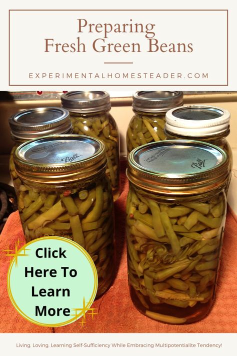 Home grown green beans are delicious. By learning about preparing fresh green beans for canning you can enjoy them year round. Preserve Green Beans, Vanilla Soap Recipe, Preserving Green Beans, Aip Keto, Primal Living, Paleo Sides, Caveman Diet, Canning Vegetables, Vanilla Soap