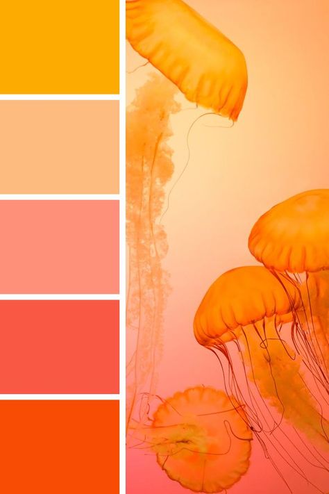 Warm Bright Color Palette, Color Palette Orange, Orange Colour Palette, Bright Colour Palette, Pinky Orange, Orange Color Palette, Sunset Color Palette, Orange Color Schemes, Orange Color Palettes