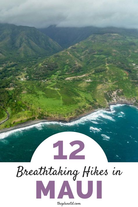 The Best Hikes in Maui | Our list of the best Maui Hikes from north to south will provide travelers with the island’s full hiking experience, from waterfalls to volcanic craters. The island of Maui is packed with incredible hiking opportunities. Trails that will suit families, newbie hikers, and experienced trekkers. | The Planet D #Maui #Hawaii #Hiking | hikes on maui | best hikes on maui Best Maui Hikes, Maui Hikes, Hikes In Maui, Hawaii Hiking, Hiking Inspiration, Jungle Hike, Kihei Maui, Hawaii Hikes, Hawaii Itinerary