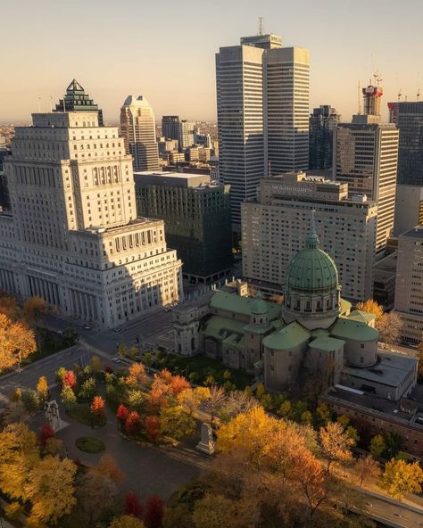 Montreal Fall, View From Above, Queen Of, The View, Montreal, Queen, The World, On Instagram, Color