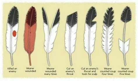 Native American Eagle Feather | Brave's Eagle feather achievments Native American Knowledge, Native Symbols, Feather Tattoo Meaning, Feather Meaning, Native American Eagle, Types Of Feathers, Indian Symbols, Native American Spirituality, Native American Feathers