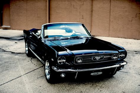 1966 Mustang Gt, Ford Mustang Gt Convertible, 66 Ford Mustang, Mustang Gt Convertible, Ford Mustang Shelby Gt, 1966 Mustang, 1967 Mustang, Old Vintage Cars, 1966 Ford Mustang