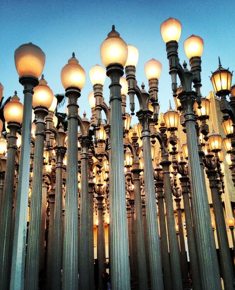 Lacma Museum, La Photoshoot, Wilshire Boulevard, La Brea Tar Pits, Los Angeles Museum, Miracle Mile, La Brea, Cool Backgrounds Wallpapers, Backgrounds Wallpapers