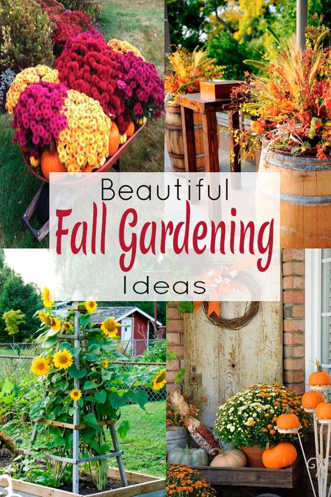 11 Fresh Ideas for Fall Gardens - The Honeycomb Home Diy Fall Garden Decor, Fall Gardens Landscape, Fall Perennials Garden Ideas, Fall Flower Garden Landscaping, Garden Inspiration Simple, Fall Landscaping Ideas, Fall Gardening Ideas, Fall Garden Ideas, Autumn Gardening