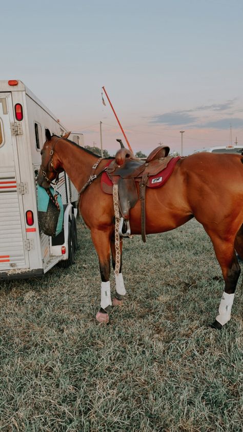 Horse Tack Sets, Barrel Racing Aesthetic, Horse Tack Western, Barrel Racing Tack Rodeo, Dream Horse Barns, Show Jumping Horses, Rodeo Cowboys, Cute Horse Pictures, Barrel Racing Horses