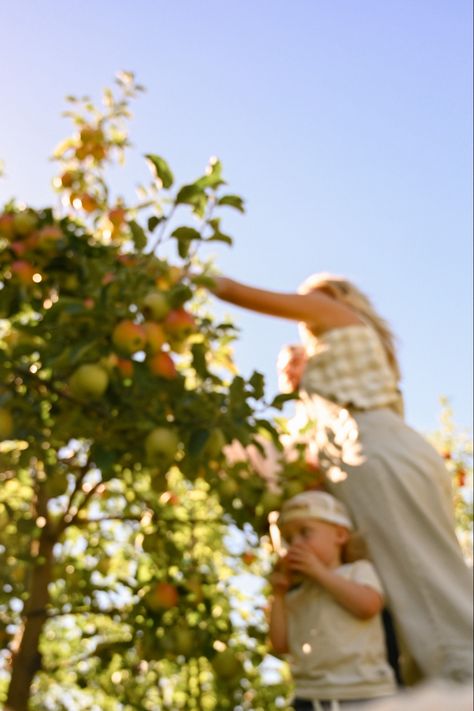 Picking apples, toddler fall photos, family pictures fall, apple picking photos, apple orchard Family Photo Apple Orchard, Family Apple Orchard Pictures, Apple Orchard Pictures, Fall Photos Family, Apple Picking Photos, Family Pictures Fall, Thanksgiving Memories, Fall Apple Picking, Picking Apples