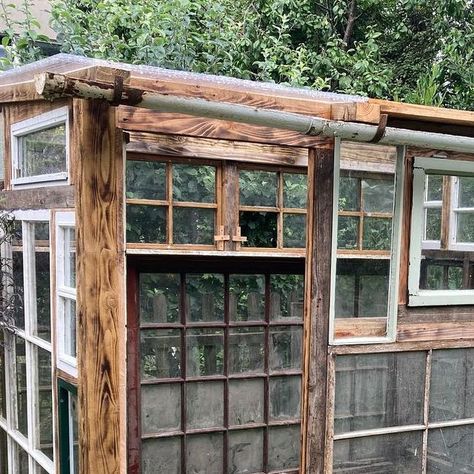 Frances tophill on Instagram: "Lots of people have asked me how I built my greenhouse. And the truth is I didn’t, personally. I could have built something similar but a bit rubbish. My good friend Rupert keys @t_a_s_k_ built it for me with his colleague David Sewell. They did a grand job. The basic structure is four postcreted in posts, then infilled with windows, got from marketplace mainly. These are then screwed to a timber framework. And this is the bit where i definitely couldn’t have don Magical Greenhouse, Serre Diy, Recycled Windows, Window Greenhouse, Recycled Window, Diy Greenhouse Plans, Greenhouse Shed, Build A Greenhouse, Greenhouse Ideas