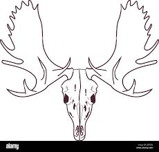 Moose Skull, Moose Head, Moose Antlers, Printables Free Kids, Classy Tattoos, Head Tattoos, Skull Drawing, Tattoo Outline, Scenic Design