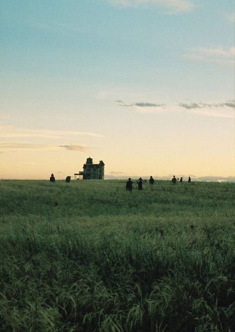 Days of Heaven (1978) Terrence Malick. Days Of Heaven, Terrence Malick, Sam Shepard, Fritz Lang, Beautiful Film, Richard Gere, Magic Hour, Film Inspiration, Movie Wallpapers