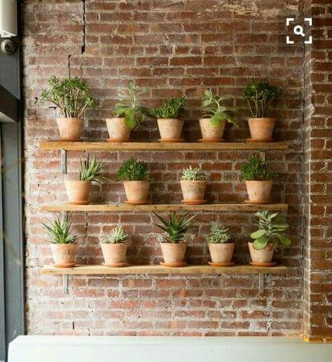 Love this brick wall and plant shelves! Brick Wall Gardens, Wall Planters Outdoor, Faux Stone Panels, Vertical Garden Indoor, Garden Shelves, Vertical Planter, Floating Plants, Coffee Shop Decor, Wall Garden