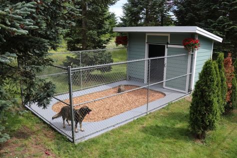 Modern Out House Ideas, Dog Waste Station For Home, Best Dog Houses For Outside Dogs, Nice Dog Kennels Outside, Dog Kennel With Run, Outdoor Dog Run Ideas Backyards, Shed For Dogs, Dog Runs Ideas Backyard, Outdoor Dog Kennel Designs