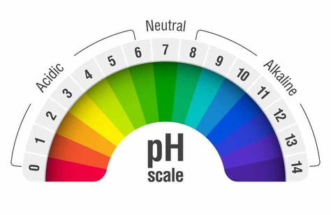 pH Of Reverse Osmosis Water: Is It Acidic? Ph Scale, Drinking Alkaline Water, Alkaline Water Benefits, Acid And Alkaline, Acid Base, Reverse Osmosis Water, Healing Waters, Ph Levels, Alkaline Diet