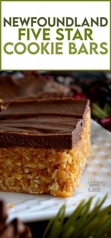 Simple Christmas Baked Goods, Nfld Recipes Newfoundland, Canadian Foods, Desert Bars, Newfoundland Recipes, Chocolate Hazelnut Cookies, Dessert Squares, Rock Recipes, Cookies Bars