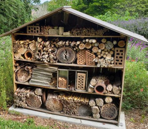 Upcycle Garden Ideas, Montessori Garden, Bug Hotels, Preschool Garden, Tattoo Plant, Allotment Gardening, Bug Hotel, Insect Hotel, Upcycle Garden