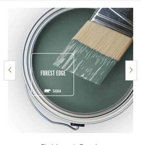 Dusty Teal Paint Color, Remodel Color Schemes, Teal Paint Color, Teal Paint Colors, Home Palette, Room Color Ideas, Paint House, Home Paint Colors, Behr Paint Colors