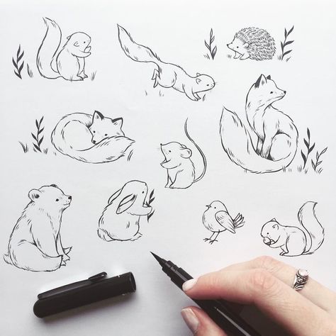 Drawing Animals, Woodland Critters, Nature Tattoos, Animal Sketches, Trendy Tattoos, Arte Animal, Art And Illustration, Tattoo Ink, Woodland Creatures