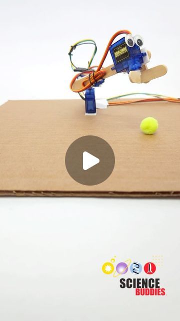 Science Buddies on Instagram: "Make your own simple robotic arm using servo motors and an #Arduino. 

Parts list, a longer video, circuit diagram, and example code are available in the student project: https://sbgo.org/roboticarm24-ig

#scienceproject #roboticsproject 
#sciencefair #STEM" Wild Robot Stem Activities, Simple Circuit Projects, Frc Robotics, Coding And Robotics, Arduino Motor, Walking Robot, Stem Robotics, Arduino Servo Projects, Simple Arduino Projects