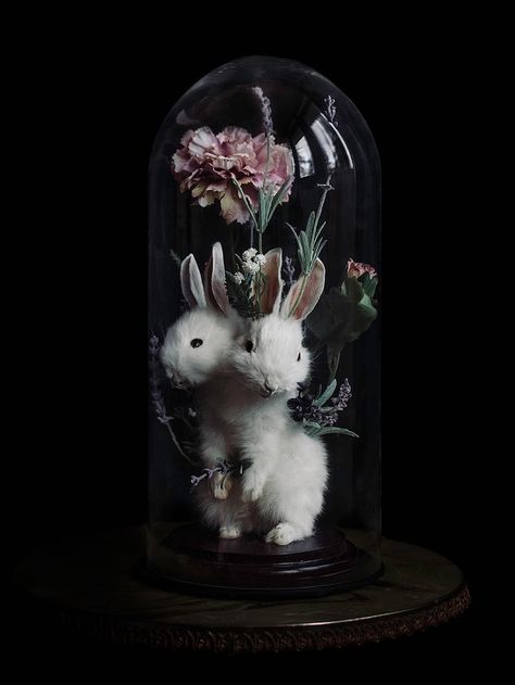 Prettiest Flowers, Petit Tattoo, Taxidermy Art, Vulture Culture, White Rabbits, Bone Art, Goth Home, Goth Decor, Gothic Decor