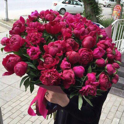 Huge Bouquet Of Flowers, Huge Bouquet, Bouquet Of Peonies, Flowers Bouquet Gift, Peonies Bouquet, Beautiful Bouquet Of Flowers, Beautiful Flower Arrangements, Luxury Flowers, Bouquet Of Flowers