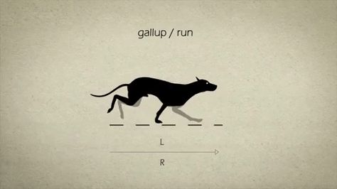 dog run animation Dog Running Animation, Dog Run Cycle, Run Animation, Animal Animation, Running Gif, Logo Dog, Dog Run, Dog Running, Run Cycle