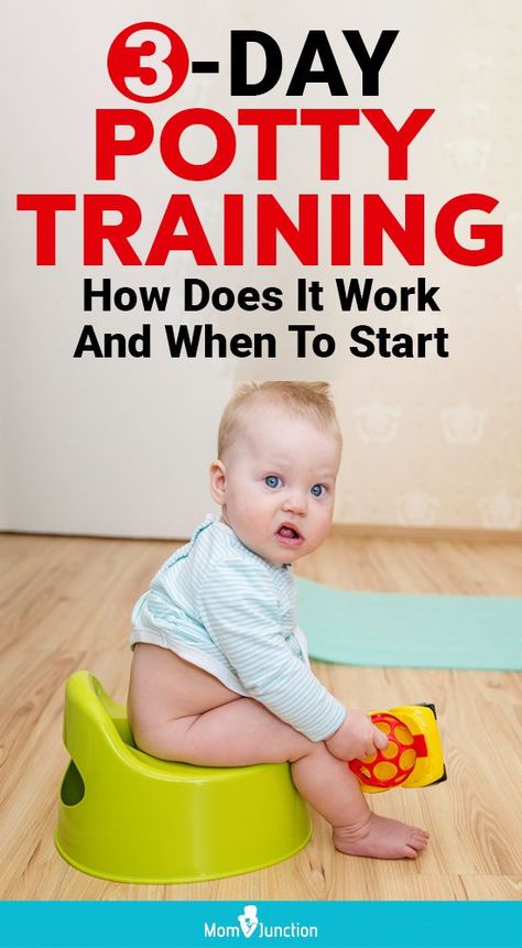 Three Day Potty Training, Best Potty, Potty Training Girls, Starting Potty Training, Potty Training Boys, Toddler Potty, Toddler Potty Training, Potty Time, Baby Puree