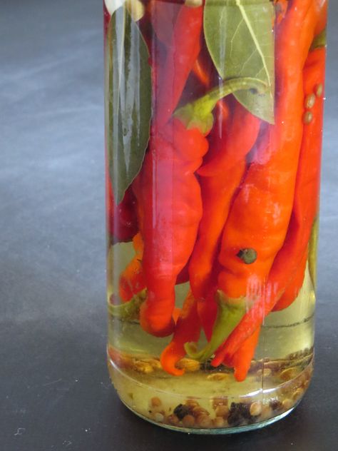 Preserving Chilli at Home: Chilli Weather | Rediscover Preserving Chillies, Preserved Chillies, Cayenne Pepper Recipes, Pickled Vegetables Recipe, Chili Oil Recipe, Decorative Food, Pepper Recipes, Canning Food, Chilli Jam