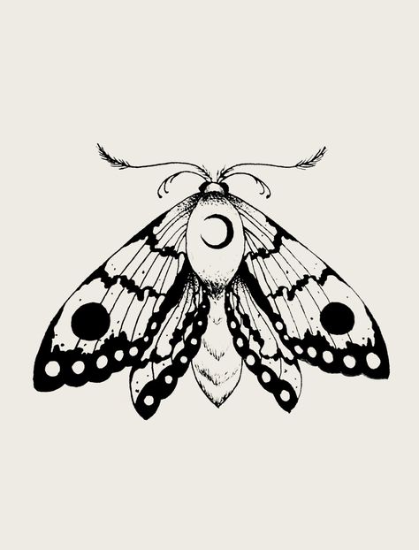 Moth Drawing, Tier Tattoo, Kunst Tattoos, Tattoos Geometric, Moth Tattoo, Tattoo Design Drawings, Future Tattoos, Cute Tattoos, Tattoo Drawings