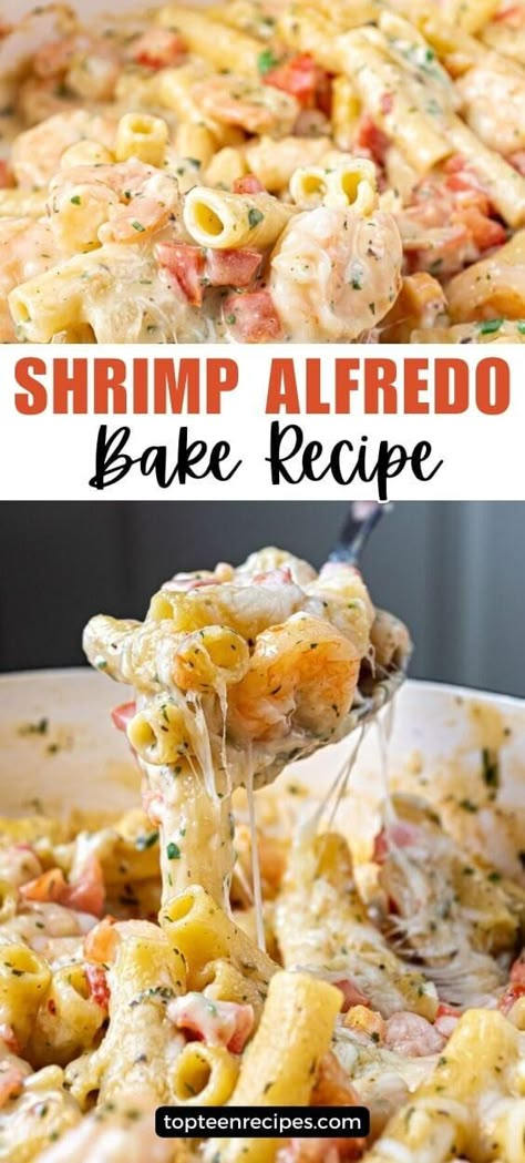 Shrimp Alfredo Bake Recipe - Top Recipes Shrimp Alfredo Bake, Alfredo Bake Recipe, Shrimp Pasta Bake, Chicken Alfredo Lasagna Recipe, Shrimp Pasta Recipes Easy, Garlicky Shrimp, Alfredo Bake, Alfredo Sauce Recipe Homemade, Seafood Dish Recipes