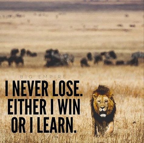 Unknown - I Never Lose. Either I Win or I Learn. Motivasi Diet, I Never Lose, Great Inspirational Quotes, A Lion, E Card, Quotable Quotes, Infj, Inspirational Quote, The Words