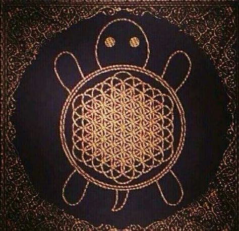 Sempi-turtle XD Sandpit Turtle, Horizon Quotes, Crown The Empire, Memphis May Fire, Music Is My Escape, Turtle Tattoo, Turtle Love, Memes Video, Be Active