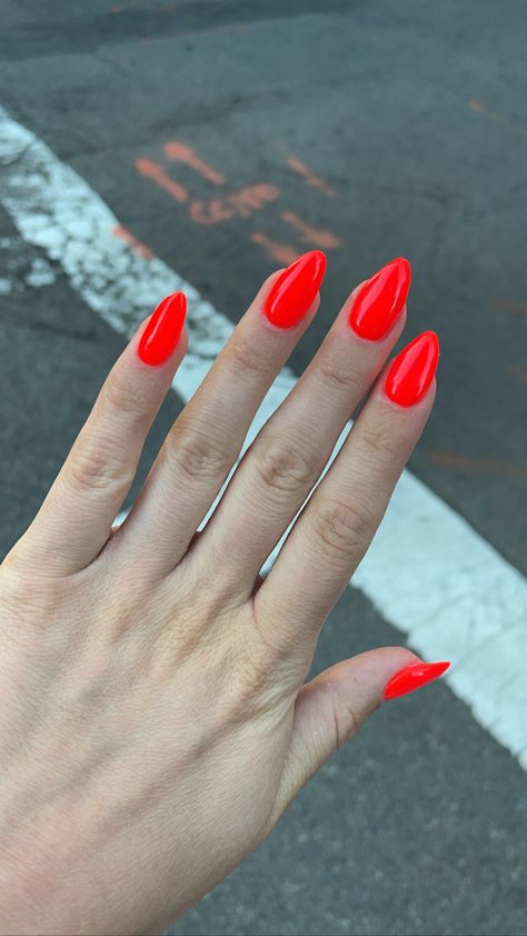 Orange Nails, Hot Red Nails for Summer, Colorful Nails, Bold Nails, Long Nails, Natural Nails, Dip Powder Manicure Red Nails For Summer, Natural Nails Dip, Hot Red Nails, Red Orange Nails, Nail Dipping Powder Colors, Dip Powder Manicure, Red Summer Nails, Nails Dip Powder, Nails For Summer