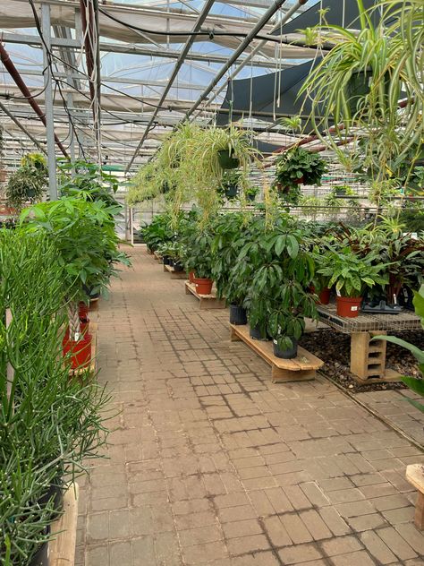 Cute plant nursery store aesthetic | #plants #plantsofinstagram #summer #spring #aesthetic #photography #plantlife #planting #plantbased #plantlady #plantleaf #shopping Summer Spring Aesthetic, Aesthetic Nursery, Nursery Aesthetic, Nursery Plant, Summer Plant, Aesthetic Plant, Store Aesthetic, Aesthetic Plants, 2024 Moodboard