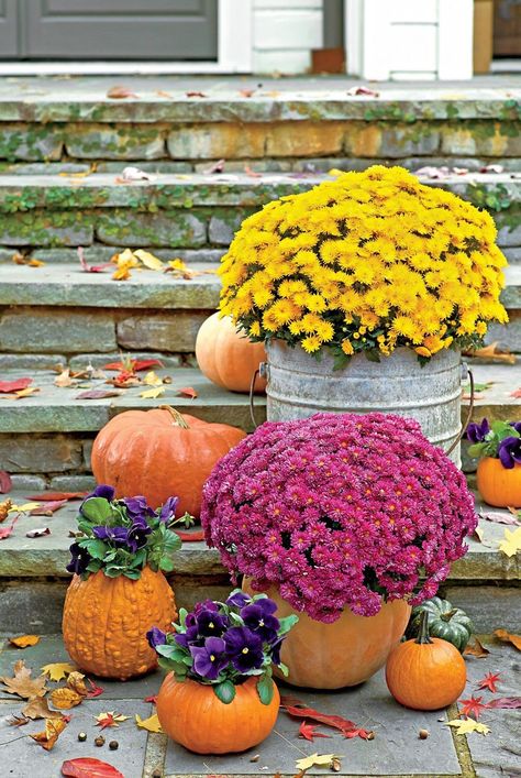 Flowers, vegetables, trees, shrubs, and more—here's our guide to what you should plant in the fall to have your garden blooming in autumn and spring. #fallflowers #fallgardening #vegetablegarden #southerngardening #gardeningtips #southernliving Planting Bulbs In Spring, Fall Gardening, Winter Gardening, Dream Items, Fall Containers, Fall Vegetables, Garden Wallpaper, Spring Flowering Bulbs, Gardening Books