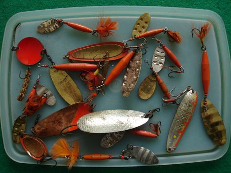 Art Advocacy, Old Fishing Lures, Vintage Fishing Lures, Lure Making, Vintage Fishing, Fishing Lures, A Group, Fishing, Fish