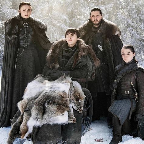 Stark Brothers, Cercei Lannister, Stark Family, Game Of Thrones Prequel, Game Of Thrones Facts, Game Of Thrones Cast, Got Game Of Thrones, Game Of Thrones Quotes, George Rr Martin