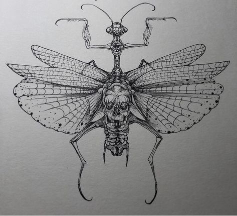 Praying Mantis Drawing, Praying Mantis Tattoo, Mantis Tattoo, Tattoo Espalda, Shin Tattoo, Insect Tattoo, Bug Tattoo, Epic Tattoo, Creepy Drawings