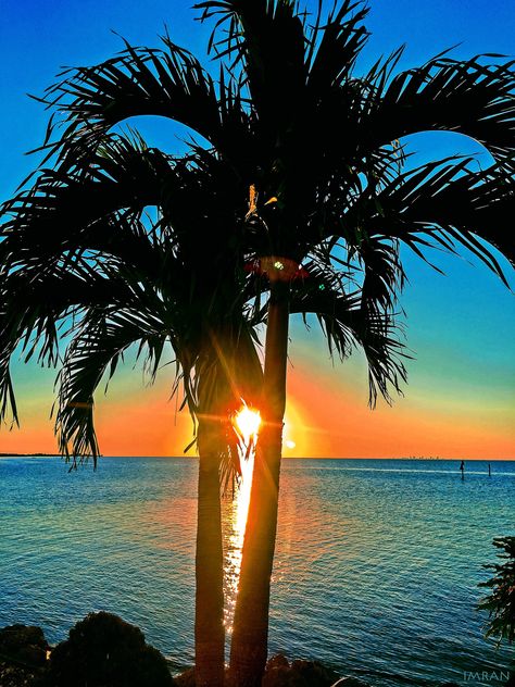 https://flic.kr/p/Nk6JNq | Sunset Through Palm Tree Tampa Bay Florida - IMRAN™ | It was so wonderful to spend time IN the water of Tampa Bay Florida today, even though it had been in the 40s in some parts of Florida last night, and snow has already started in New York and other areas for this year's winter. Afterwards, working on something on the side of the house I saw that the setting sun captured through the limbs of one of the palm tree pairs around my blessed home would make a fabulous ... Email Icon Png, Email Icon, Tampa Bay Florida, Tree Sunset, Palm Tree Sunset, Eye Pictures, Sky View, Tree Wallpaper, Aesthetic Desktop Wallpaper