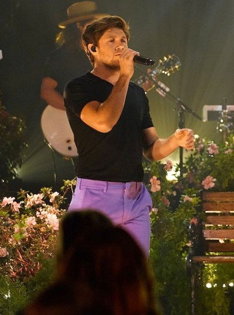 Niall Horan Concert Outfit Ideas, Purple Pants Outfit, Niall Horan Concert, Niall Horan Baby, Niall And Harry, Concert Outfit Ideas, One Direction Photos, Irish Princess, Irish Boys