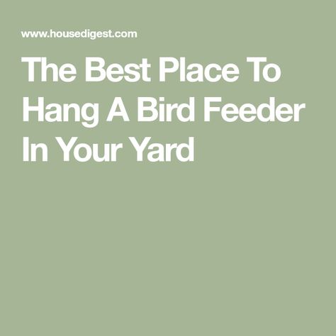 The Best Place To Hang A Bird Feeder In Your Yard Bird Feeder Station Ideas, Bird Feeder Station, Bird Feeder Poles, Suet Feeder, Dont Take It Personally, Garden Poles, Stay Alive, Try Not To Laugh, Bird Feeder