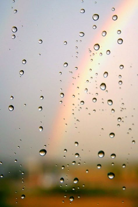 Raindrop Aesthetic, Videos Of Rain, Rain Aesthetics, Rain Drops On Window, Lavender Fields Photography, Rainy Day Photography, Rainy Wallpaper, Rain Window, Rainy Window