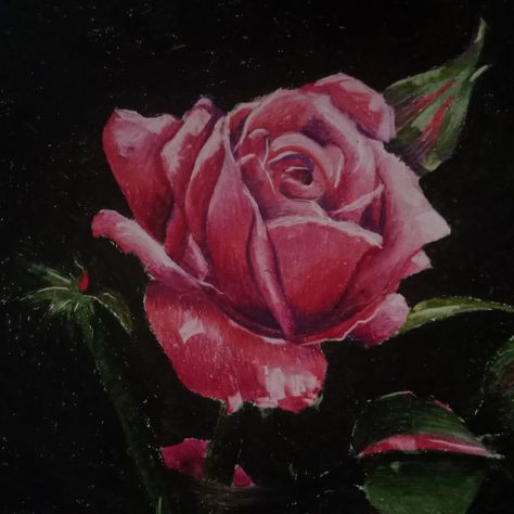 Rose// Oil pastels art #art #artist #instagram #instagood Oil Pastels Art, Pastels Art, Artist Instagram, Oil Pastel Art, Gcse Art, Oil Pastels, Rose Oil, Pastel Art, Oil Pastel