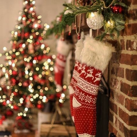 C H R I S T M A S💫🎄 on Instagram: “🍭🎄 #christmas #christmastree #christmashome #christmashomedecor #christmasdecorations #loveislove #animals #delicious #food #chocolate…” Christmas Stocking Aesthetic, Stocking Aesthetic, Christmas Stockings Aesthetic, Stockings Aesthetic, Christmas Aesthetic Wallpaper, Diy Christmas Tree Ornaments, Holiday Mood, Stocking Tree, Warm Christmas