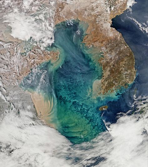 Incredible Images of Algal Blooms Taken From Space | WIRED Nasa Poster, Nasa Earth, Nasa Images, Yellow Sea, Sea Can, Remote Sensing, Satellite Image, Ocean Colors, Space Photos