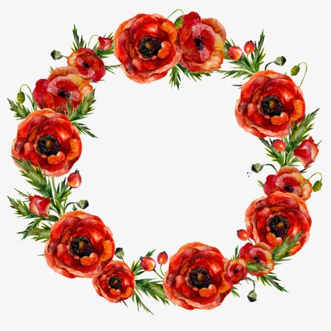 Red flowers garland Flowers Garland, Poppy Wreath, Wreath Illustration, Watercolor Wreath, Wreath Drawing, Floral Wreath Watercolor, Watercolor Poppies, Flowers Png, Wreath Watercolor