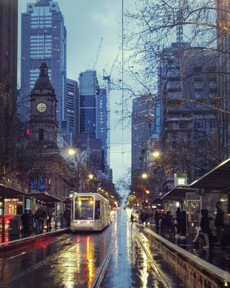 Melbourne Train Aesthetic, Aesthetic Melbourne, Melbourne Aesthetic, Melbourne Tram, Rain Street, Melbourne Winter, City Rain, Pinterest Feed, Master's Degree