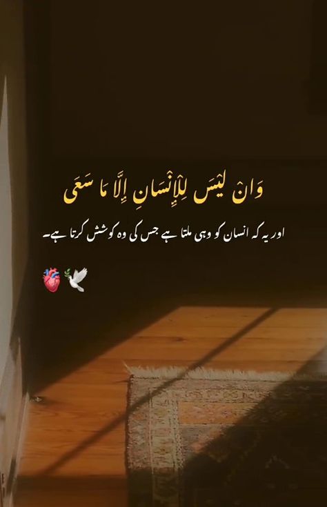 Golden Lines In Urdu, Deep Quran Quotes, Ayat Quotes, Noor Khan, Aesthetic Lines, Classy Girl Quotes, Islamic Dpz, Instagram Likes And Followers, Al Qur'an Aesthetic