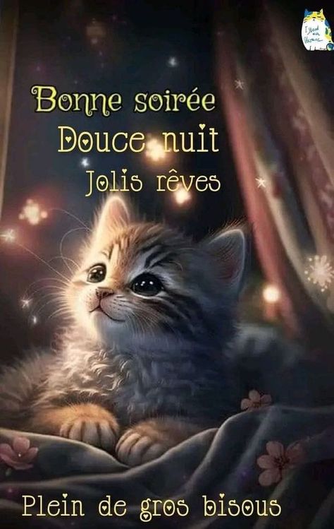 Soyez heureux Group | Samedi soir bonsoir en vous souhaitant une belle soirée bisous | Facebook Couple Message, Bon Weekend, Amazing Nature Photos, French Quotes, Word Pictures, Pinterest Photos, Night Quotes, Cute Cats And Dogs, Good Night Quotes