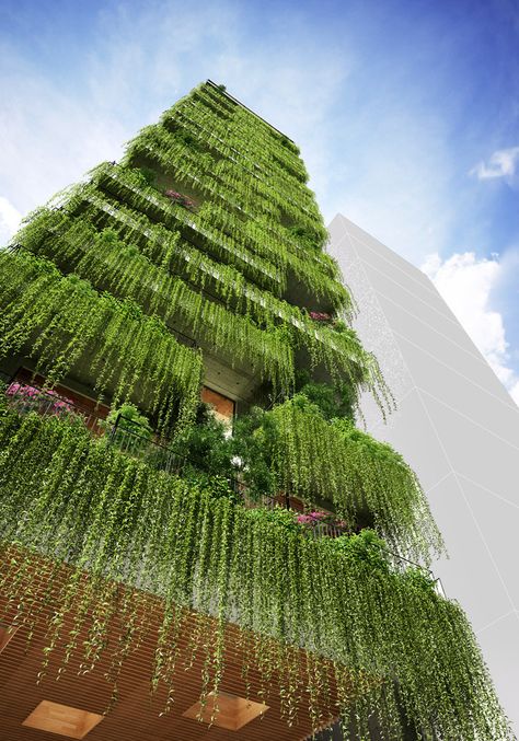 VTN Architects Designs Hotel with Cascading Greenery for Narrow Site in Vietnam Vtn Architects, Watercolor Beautiful, Green Facade, نباتات منزلية, Plants Growing, Landscape Architecture Design, Garden Architecture, Green Architecture, Have Inspiration